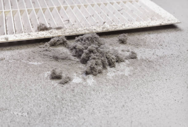 Best Ventilation Cleaning Services  in Billings, MT