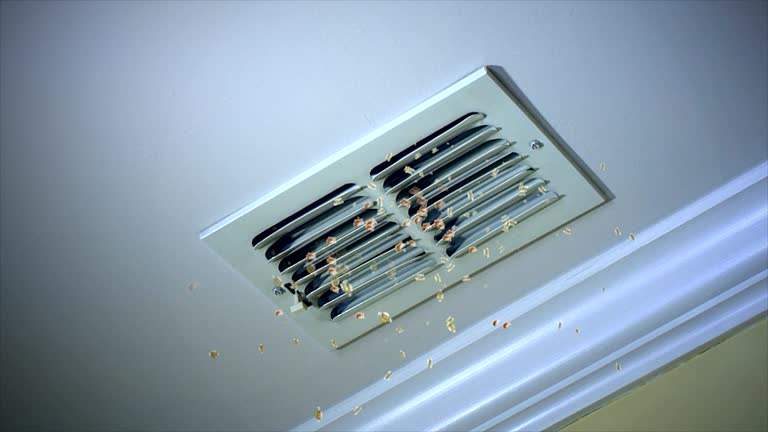 Best Air Duct Cleaning Near Me in Billings, MT